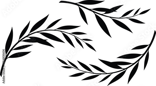 Set of black willow branch silhouettes, vector illustration of curved leafy twigs, isolated nature elements for decoration and floral design, on white background.