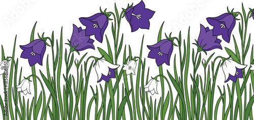 Horizontal seamless border of blooming purple and white bellflowers with green grass, vector floral illustration isolated on white background.
