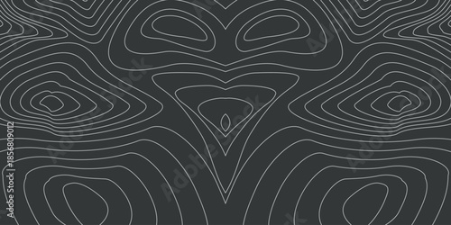 An abstract image with symmetrical contour lines on a dark background, reminiscent of a topographic map or waves.