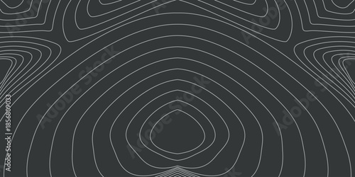 An abstract, symmetrical pattern consisting of smooth, flowing contour lines on a dark background. The lines resemble a topographic map or a visualization of sound waves.