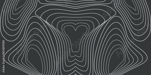 An abstract, symmetrical pattern consisting of smooth, flowing contour lines on a dark background. The lines resemble a topographic map or a visualization of sound waves.