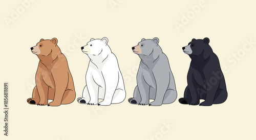 A set of four beautifully illustrated bears sitting side-profile, showcasing different species: grizzly, polar, kermode, and black bears.
