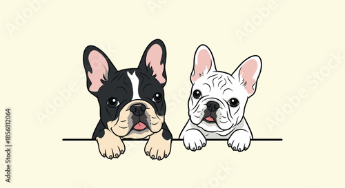 An adorable illustration of two cute French bulldog puppies, one black and white and one all white, peeking over a ledge together.