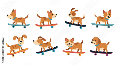 A fun collection of eight cute cartoon dogs of the same breed riding on colorful skateboards, each in a slightly different pose.