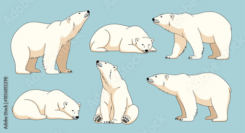 Detailed set of six polar bear illustrations in realistic poses, including standing, sitting, sleeping, and looking up. An arctic animal collection on a blue background.