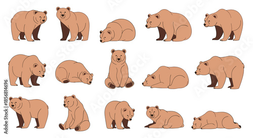 Extensive collection of fifteen brown grizzly bear illustrations in a simple, flat style, showing the animal in various natural poses like standing, sitting, and lying down.