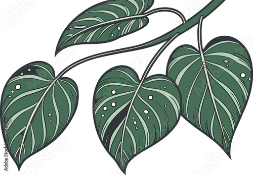 Betel Leaf Illustration. Fresh Betel Leaves Plant. Green Betel Leaf Artwork. Betel Leaf Traditional Plant. Natural Betel Leaves Design. Betel Leaf Botanical Illustration. Betel Leaf Herbal Plant
