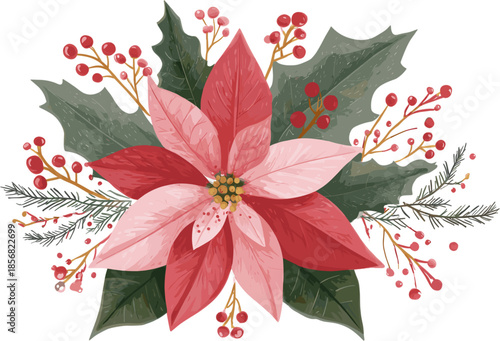 Christmas flower, poinsettia, with holly leaves and berries, in clip art style.