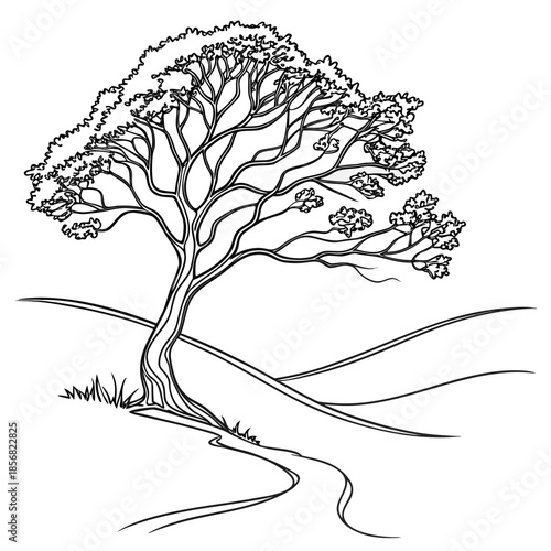 Lone tree on hillside