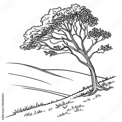 Lone tree on hillside