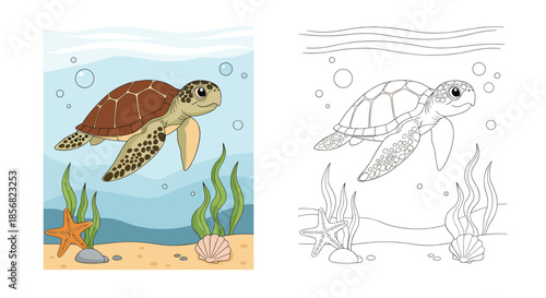 Marine life coloring page for kids showing a detailed sea turtle swimming underwater near coral and starfish.