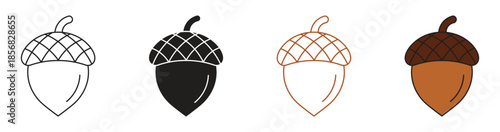 Acorns icon set, vector illustration. Vector acorn, oak fruit illustration.