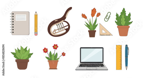 Collection of office and educational items laptop plants and stationery