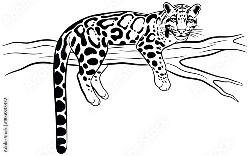 Simple graphic displaying 'vector file' text as a generic design resource identifier