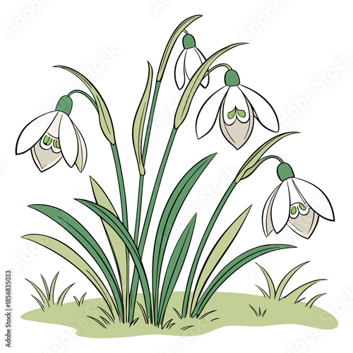 A charming illustration depicts a cluster of delicate snowdrop flowers with slender green stems and leaves