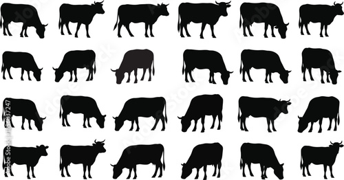 Collection of cow silhouettes in various poses