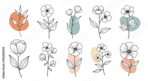 Collection of ten elegant hand-drawn wildflowers with delicate lines, set against abstract pastel-colored shapes for a modern look.