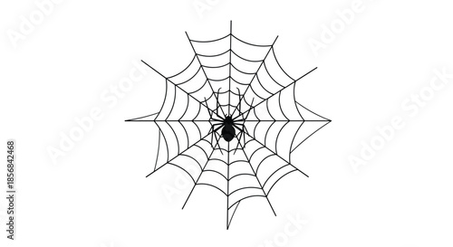 Symmetrical black and white illustration of a spider sitting in the exact center of its perfectly constructed circular web.