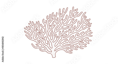 A detailed dot-work illustration of an isolated brown coral branch, showcasing its intricate, branching structure in a minimalist stippled style.