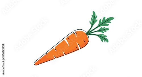 A cute and simple cartoon illustration of a fresh orange carrot with green leafy tops, drawn in a clean and modern outline style.