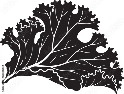 Black silhouette of a curly kale leaf with white veins vector