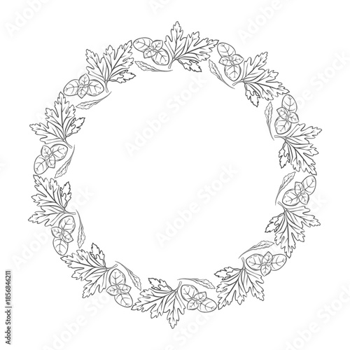 Round frame with herbs. Basil and cilantro, hand-drawn. Vegetarian diet food with vitamins for preparing delicious and healthy dishes.