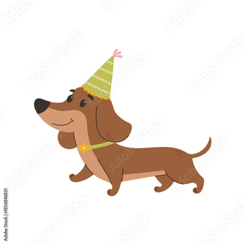 A cute cartoon dachshund wearing a festive hat on its head. Children's illustration on a white background.