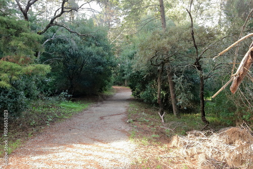 Parque florestal de Monsanto