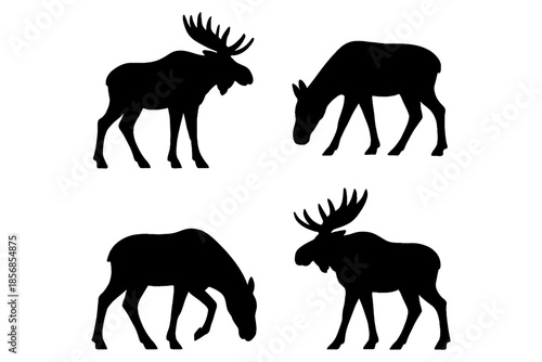 set of Moose,
Majestic Moose Silhouette Vector Set – Wildlife Icons for Outdoor Branding