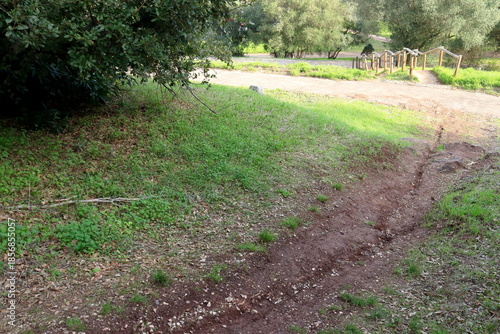 Parque florestal de Monsanto