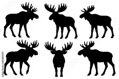 Moose silhouette set,
Moose Silhouettes Collection – Black Wildlife Vector Icons
