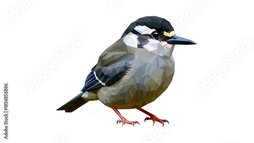 Geometric low poly songbird design with white background