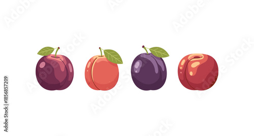 Four colorful plums and peaches with leaves on a white background