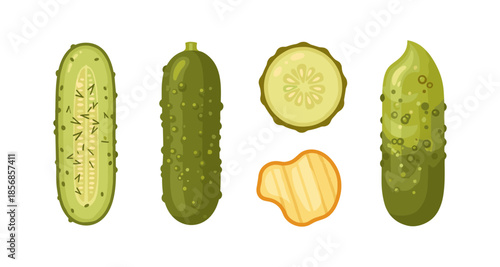 Various pickles and a potato chip illustration on a white background