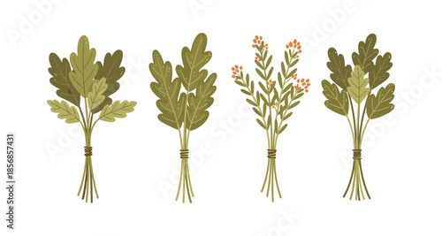 Collection of four stylized botanical illustrations of herb bundles