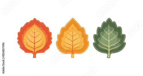Three stylized autumn leaves in red, orange, and green colors on a white background