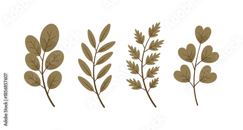 Set of four stylized botanical branches with brown leaves on a white background
