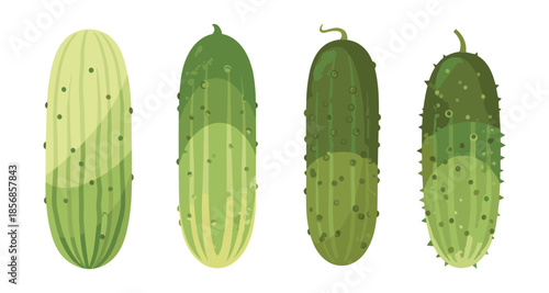 Four green cucumbers with different textures and shades of green on a white background