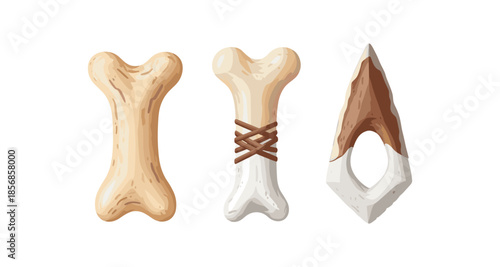 Primitive bone tools and weapon arrowhead isolated on white background