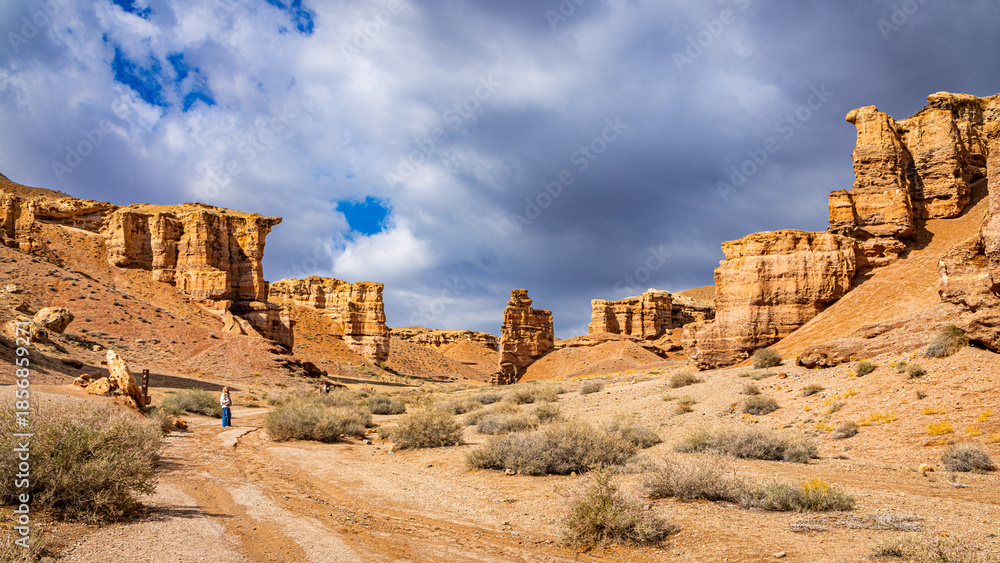 Obraz premium Charyn Canyon, Valley of Castles. The excellence of Kazakhstan. Panorama of natural unusual landscape