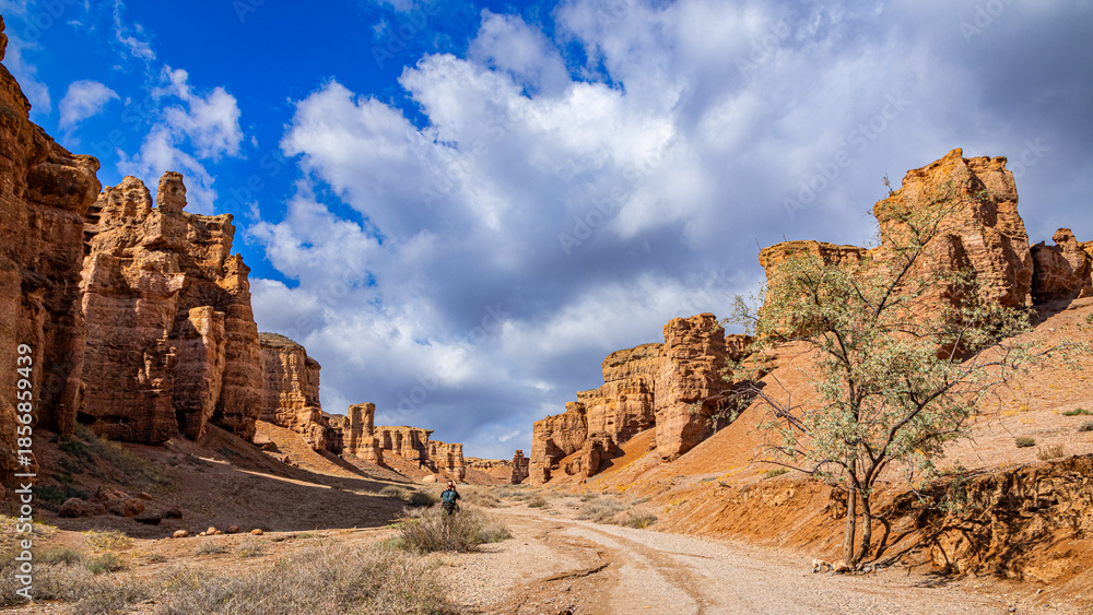 Fototapeta premium Charyn Canyon, Valley of Castles. The excellence of Kazakhstan. Panorama of natural unusual landscape