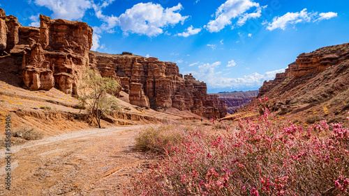 Charyn Canyon, Valley of Castles. The excellence of Kazakhstan. Panorama of natural unusual landscape
