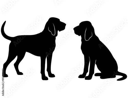 Silhouette of Two Black Bloodhound Dogs, Scent Hound Illustration