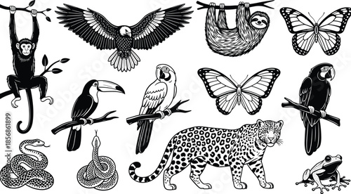 Vintage hand drawn wildlife silhouette set, monkey eagle sloth butterflies toucan snake leopard frog jungle animals ink engraving vector illustration bundle collection