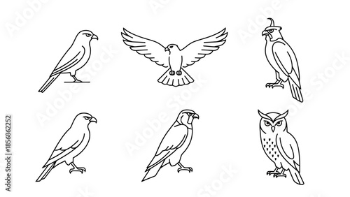 Collection of Avian Wildlife Line Art Icons Bird Silhouettes