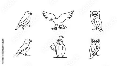 Set of Six Bird Icons Raptors and Owls in Outline Style for Design Projects