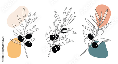 Olive branch sketches with black olives and green leaves decorated with abstract colorful shapes on a clean white background.
