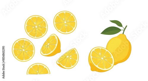 Fresh yellow lemon collection with whole fruits, half pieces, and various slices for natural food and citrus market themes.