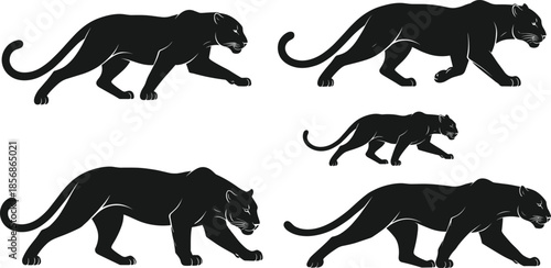 Black panther silhouette vector illustration, wild animal walking poses, jungle predator clipart, wildlife design element for stock content, isolated on white