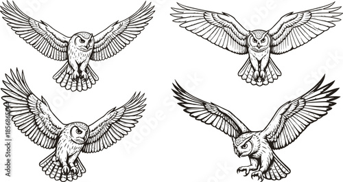 Owl silhouette vector set, flying owl illustrations, detailed bird of prey graphics, wings spread poses for tattoo, logo, wildlife and design use
